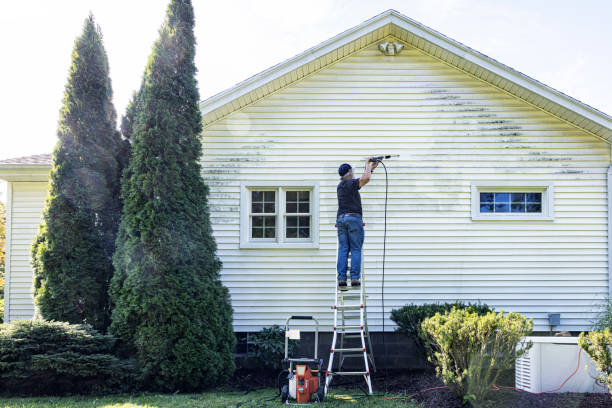 Trusted St Francisville, LA Pressure Washing Experts