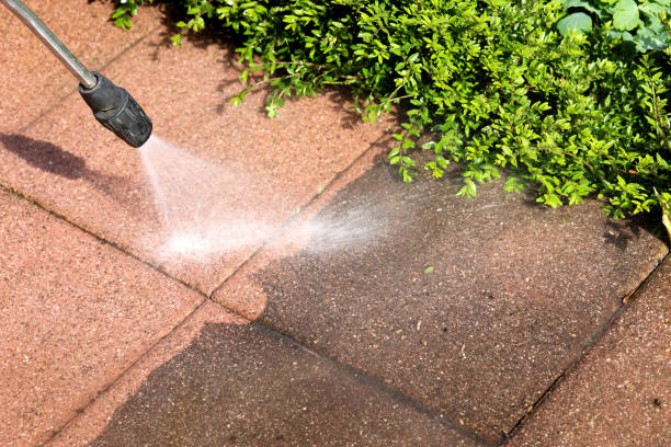 Best Exterior Home Cleaning  in St Francisville, LA